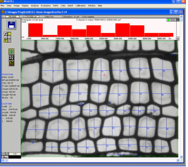 WinCELL木材細胞分析軟件